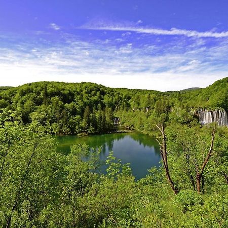 Vila Milan In Rastovača Exteriér fotografie